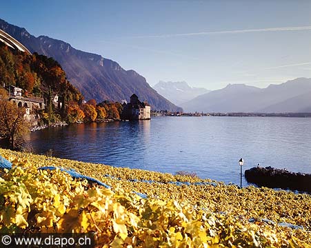 367 - Le chteau de Chillon et le Lac Lman