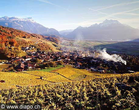 370 - Au coeur du Chablais, Ollon, les dents de Morcles ( g.) et du Midi.