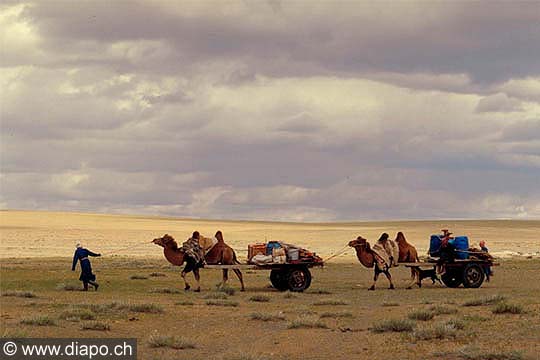 698 - Mongolie - caravane de nomades