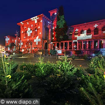 10415 - Photo : Festival Luminis -  Le Palais de Rumine éclairé grâce aux illuminations de l'artiste Gerry Hofstetter, ville de Lausanne - Suisse