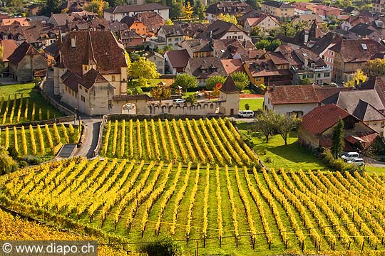 10433 - Photo : vignoble du Landeron dans le canton de Neuchtel - Chteau de Cressier