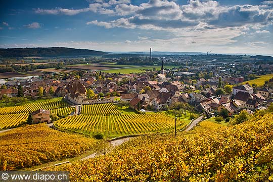 10436 - Photo :Cressier et le vignoble du Landeron dans le canton de Neuchtel