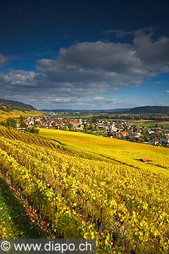 10439 - Photo :Cressier et le vignoble du Landeron dans le canton de Neuchtel