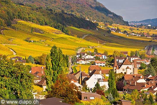 10441 - Photo :Cressier et le vignoble du Landeron dans le canton de Neuchtel