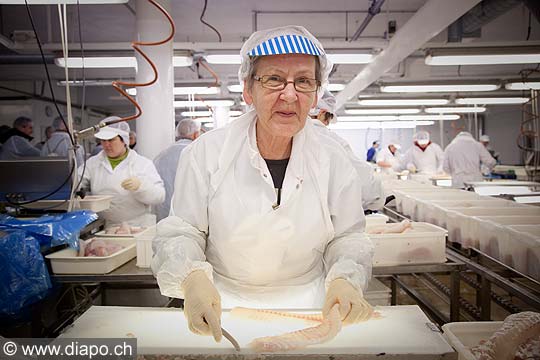 11006 - Photo :  Norvge, Arctique, les Lofoten, village de Myre, Gunnar Klo, usine qui transforme le cabillaud en filets.