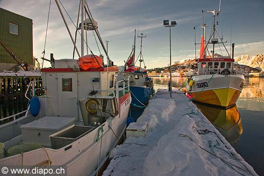 11022 - Photo :  Norvge, Arctique, les Lofoten, port de Myre