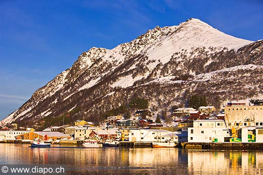 11031 - Photo :  Norvge,  Arctique, les Lofoten, port de Myre