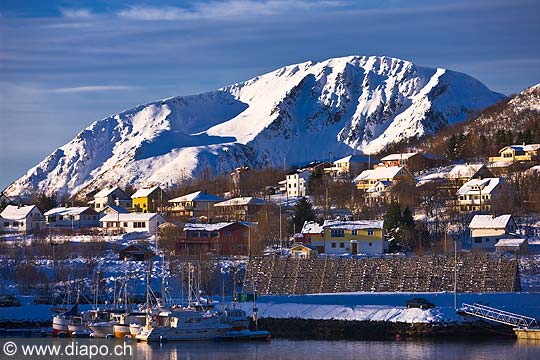 11032 - Photo :  Norvge,  Arctique, les Lofoten, port de Myre