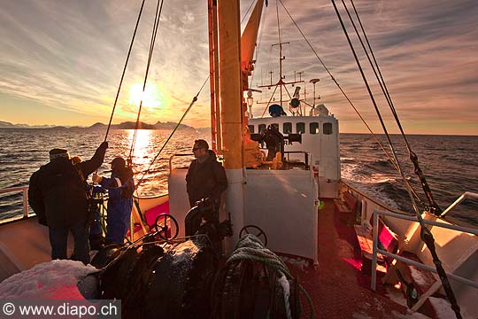 11050 - Photo :  Norvge,  Arctique, les Lofoten, la pche aux Skrei  un cabillaud pas comme les autres