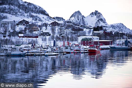 11100 - Photo :  Norvge,  Arctique, les Lofoten, village et port de Myre