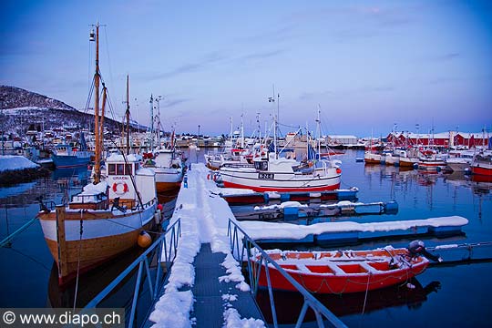 11103 - Photo :  Norvge,  Arctique, les Lofoten, port de Myre