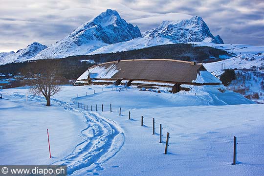 11177 - Photo :  Norvge,  Arctique, les Lofoten, Lofotr Vikingmuseet / Viking Museum,  Borg sur l\'le de Vestagoy