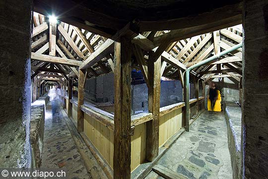 11300 - Photo :  Suisse - Chteau de Chillon au bord du Lac Lman