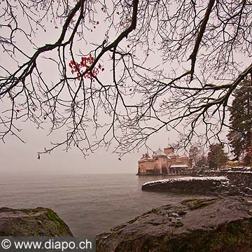 11401 - Photo :  Suisse - Chteau de Chillon au bord du Lac Lman