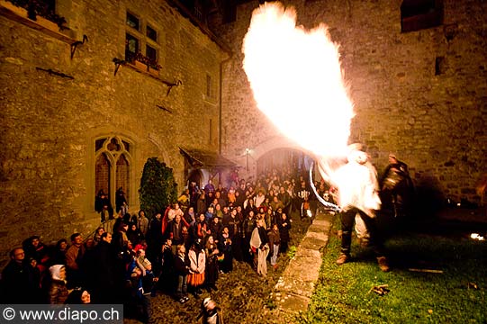 11542 - Photo :  Suisse - Chteau de Chillon au bord du Lac Lman