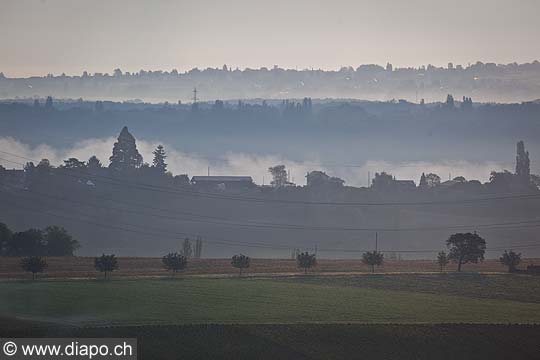 12975 - Photo : Suisse, vendanges dans le canton de Genve