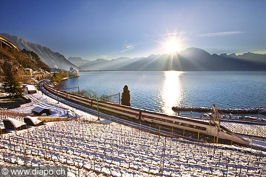 13123 - Photo : Suisse - Chteau de Chillon au bord du Lac Lman