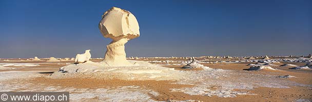 3310 - Photo :Sahara - Afrique - Egypte - dsert blanc