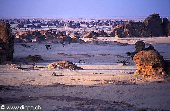 3950 - Niger, rgion d'Orida sur le Plateau de Djado