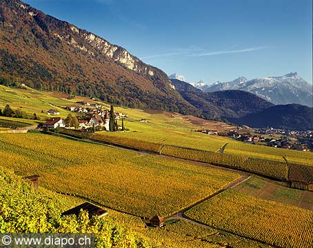 4373 - Chablais - Yvorne