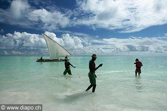 5161 - Tanzanie - Zanzibar