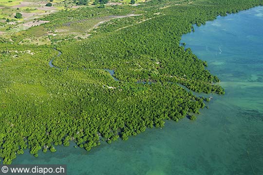 7558 - Photo : vue arienne de l'le de Zanzibar - Tanzanie - Afrique