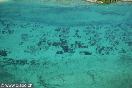 7564 - Photo : vue arienne de l'le de Zanzibar - Tanzanie - Afrique