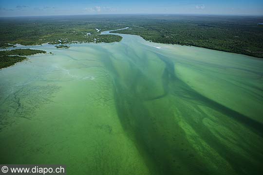 7590 - Photo : vue arienne de l'le de Zanzibar - Tanzanie - Afrique