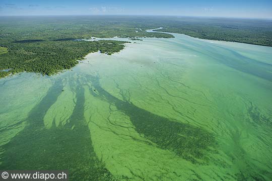 7591 - Photo : vue arienne de l'le de Zanzibar - Tanzanie - Afrique