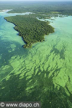 7593 - Photo : vue arienne de l'le de Zanzibar - Tanzanie - Afrique