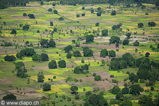 7634 - Photo : vue arienne de l'le de Zanzibar - Tanzanie - Afrique