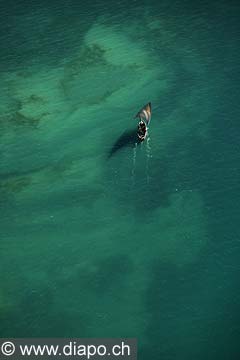 7643 - Photo : vue arienne de l'le de Zanzibar - Tanzanie - Afrique