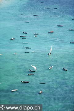 7655 - Photo : vue arienne de l'le de Zanzibar - Tanzanie - Afrique