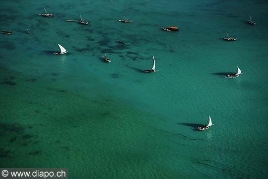 7660 - Photo : vue arienne de l'le de Zanzibar - Tanzanie - Afrique