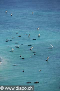 7661 - Photo : vue arienne de l'le de Zanzibar - Tanzanie - Afrique