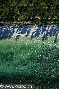 7681 - Photo : vue arienne de l'le de Zanzibar - Tanzanie - Afrique