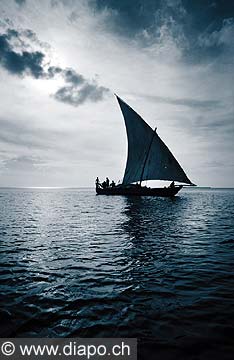 8168 - Photo : le de Zanzibar, Tanzanie, Afrique