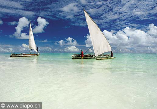 8195 - Photo : le de Zanzibar, Tanzanie, Afrique