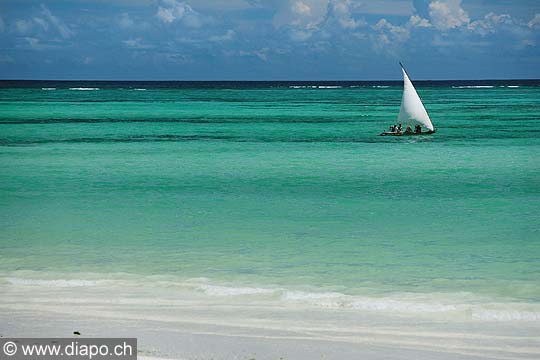 8199 - Photo : le de Zanzibar, Tanzanie, Afrique