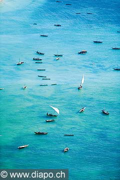 8308 - Photo : le de Zanzibar, Tanzanie, Afrique