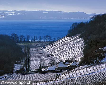 8366 - Photo : Cortaillod et le lac de Neuchtel