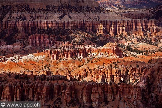 8432 - Photo : Amrique, USA, Etats-Unis - Bryce Canyon