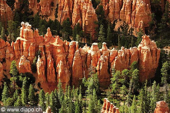 8433 - Photo : Amrique, USA, Etats-Unis - Bryce Canyon