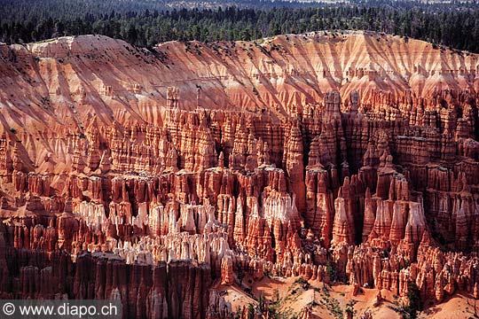 8434 - Photo : Amrique, USA, Etats-Unis - Bryce Canyon