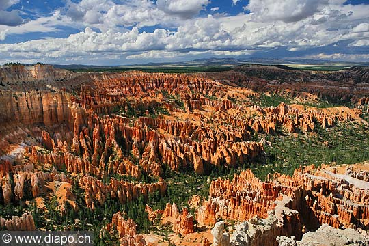 8435 - Photo : Amrique, USA, Etats-Unis - Bryce Canyon