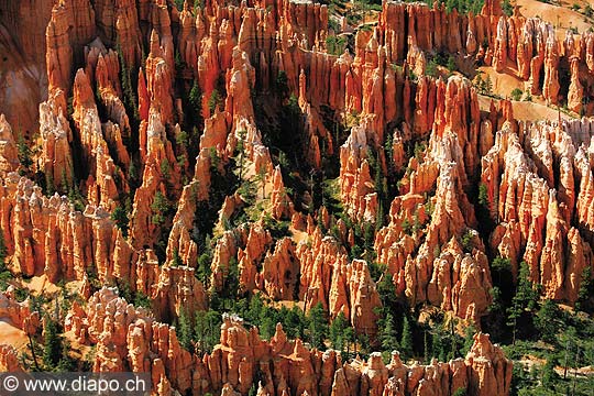 8436 - Photo : Amrique, USA, Etats-Unis - Bryce Canyon