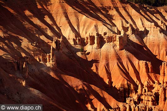 8438 - Photo : Amrique, USA, Etats-Unis - Bryce Canyon