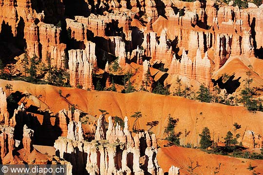 8440 - Photo : Amrique, USA, Etats-Unis - Bryce Canyon