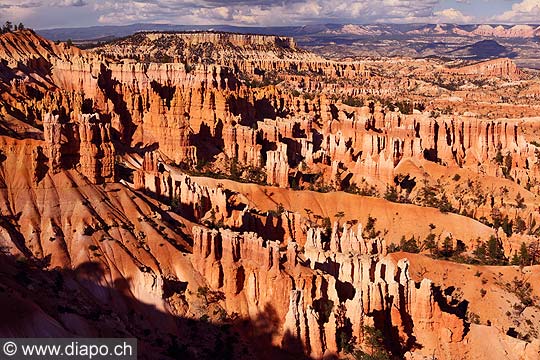 8441 - Photo : Amrique, USA, Etats-Unis - Bryce Canyon