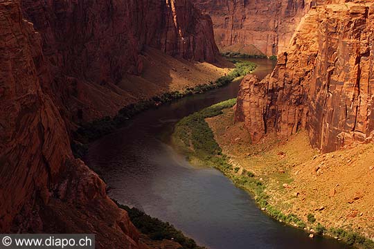 8442 - Photo : Amrique, USA, Etats-Unis - Colorado River